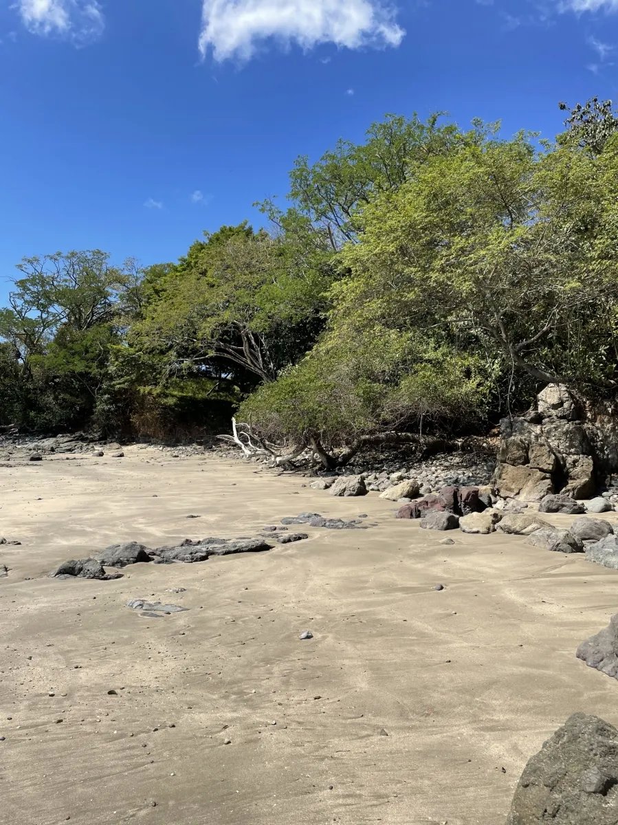 Lote de Casa en Venta en Boca Chica
