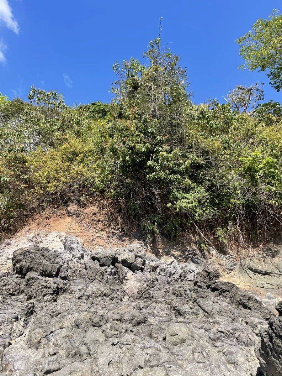 Lote de Casa en Venta en Boca Chica