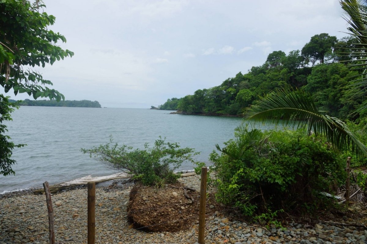 6.5 hectares with beach access on Boca Brava, Boca Chica