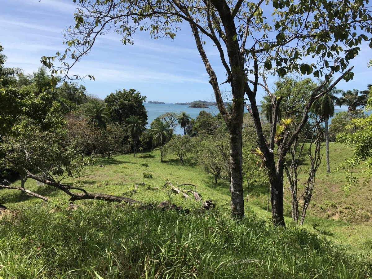 6.5 hectares with beach access on Boca Brava, Boca Chica