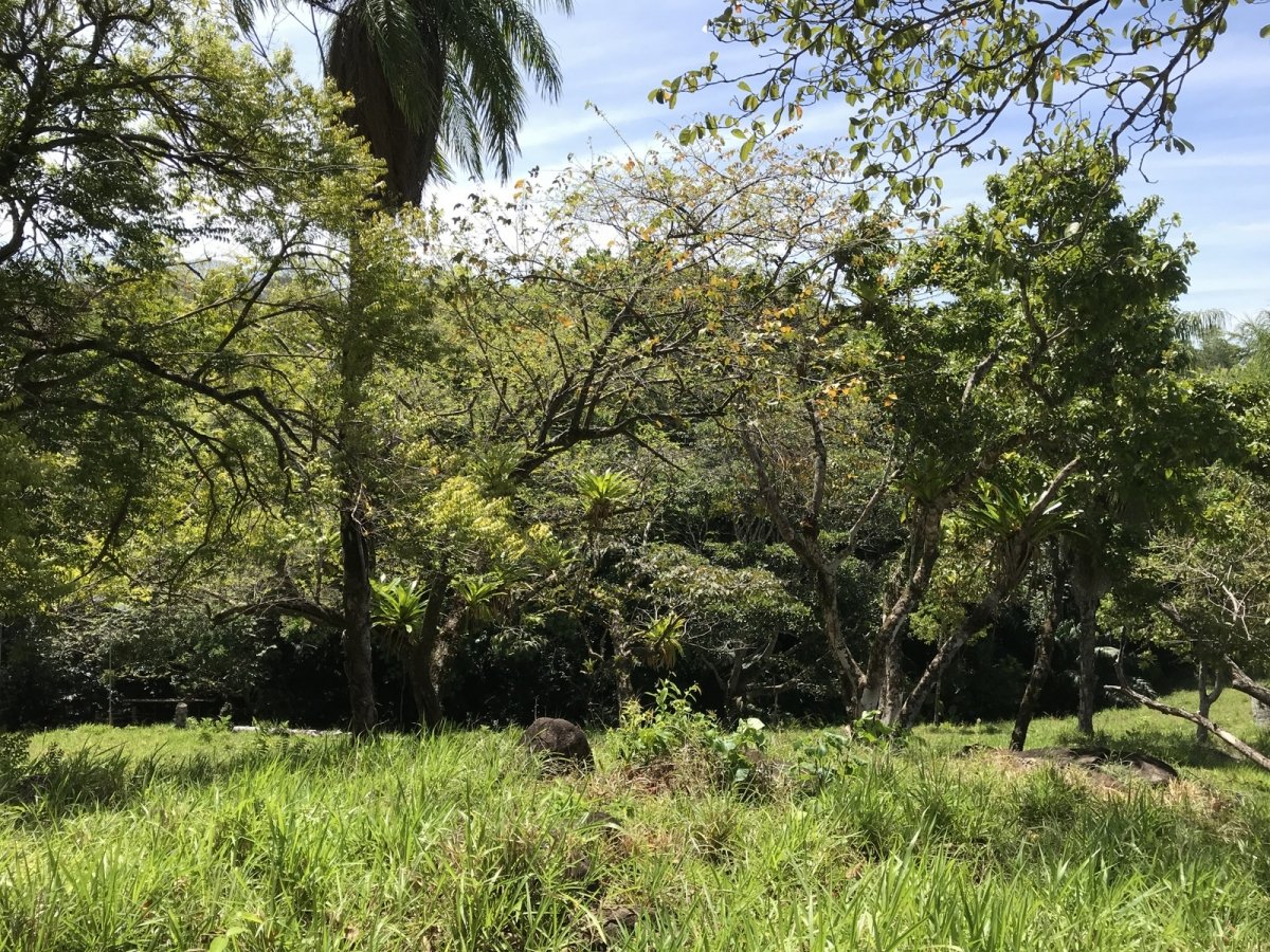 6.5 hectares with beach access on Boca Brava, Boca Chica