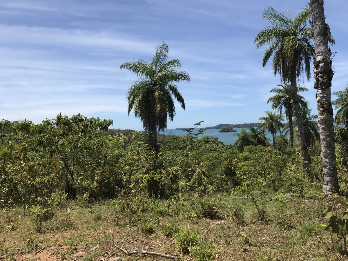 6,5 hectáreas con acceso a la playa en Boca Brava; Boca Chica