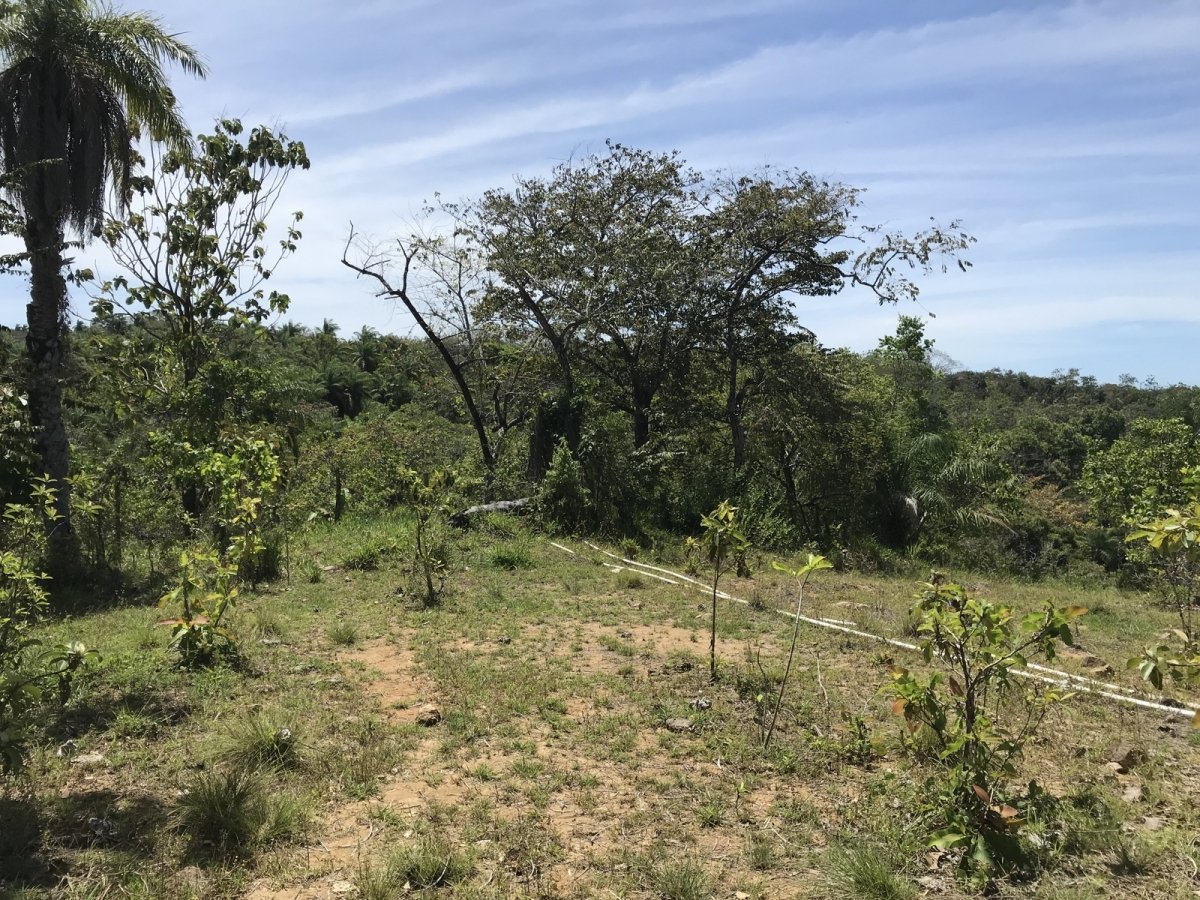 6,5 hectáreas con acceso a la playa en Boca Brava; Boca Chica
