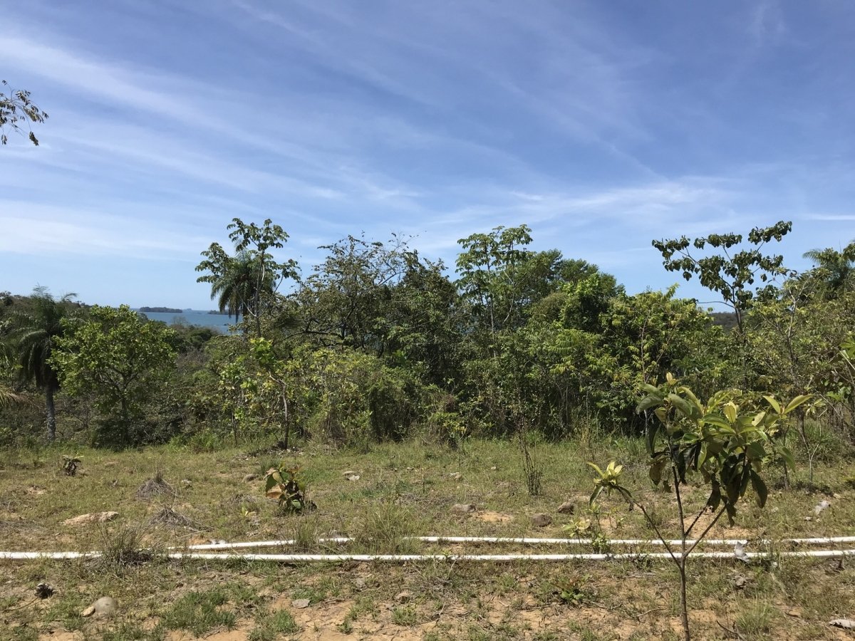 6,5 hectáreas con acceso a la playa en Boca Brava; Boca Chica