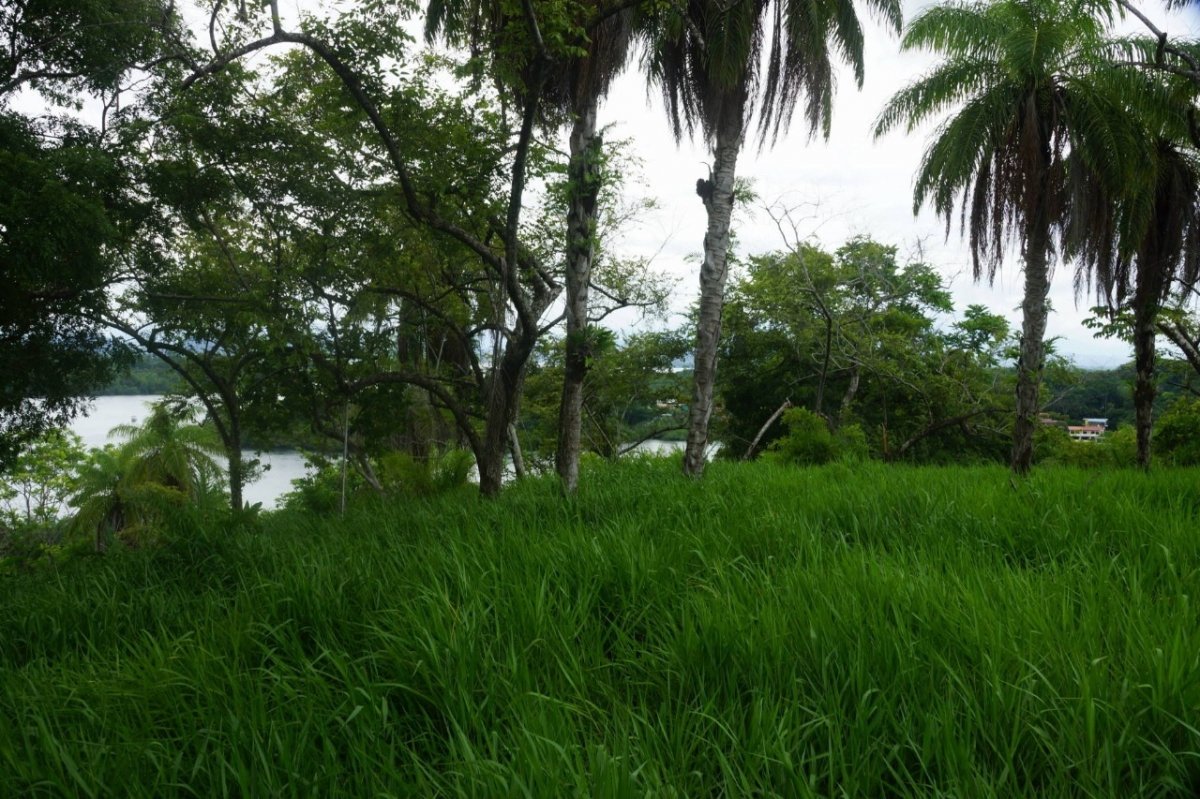 6,5 hectáreas con acceso a la playa en Boca Brava; Boca Chica