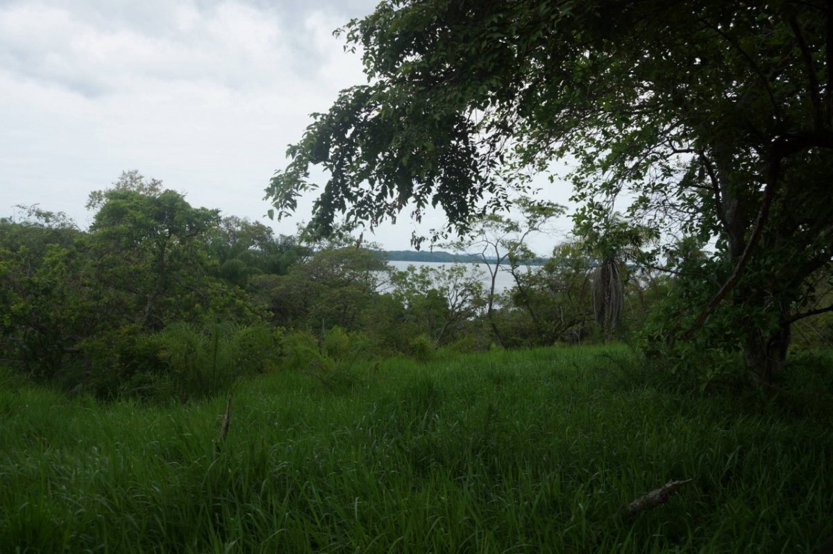 6,5 hectáreas con acceso a la playa en Boca Brava; Boca Chica