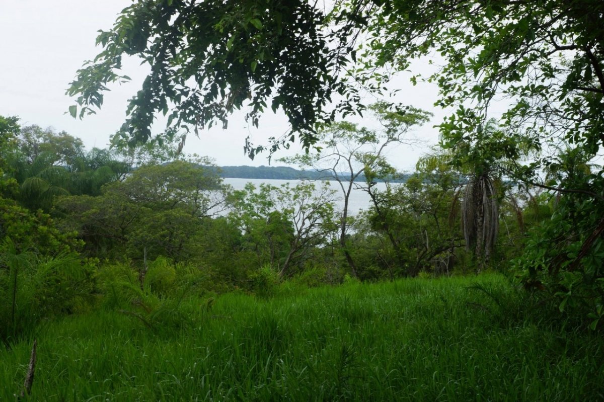 6,5 hectáreas con acceso a la playa en Boca Brava; Boca Chica