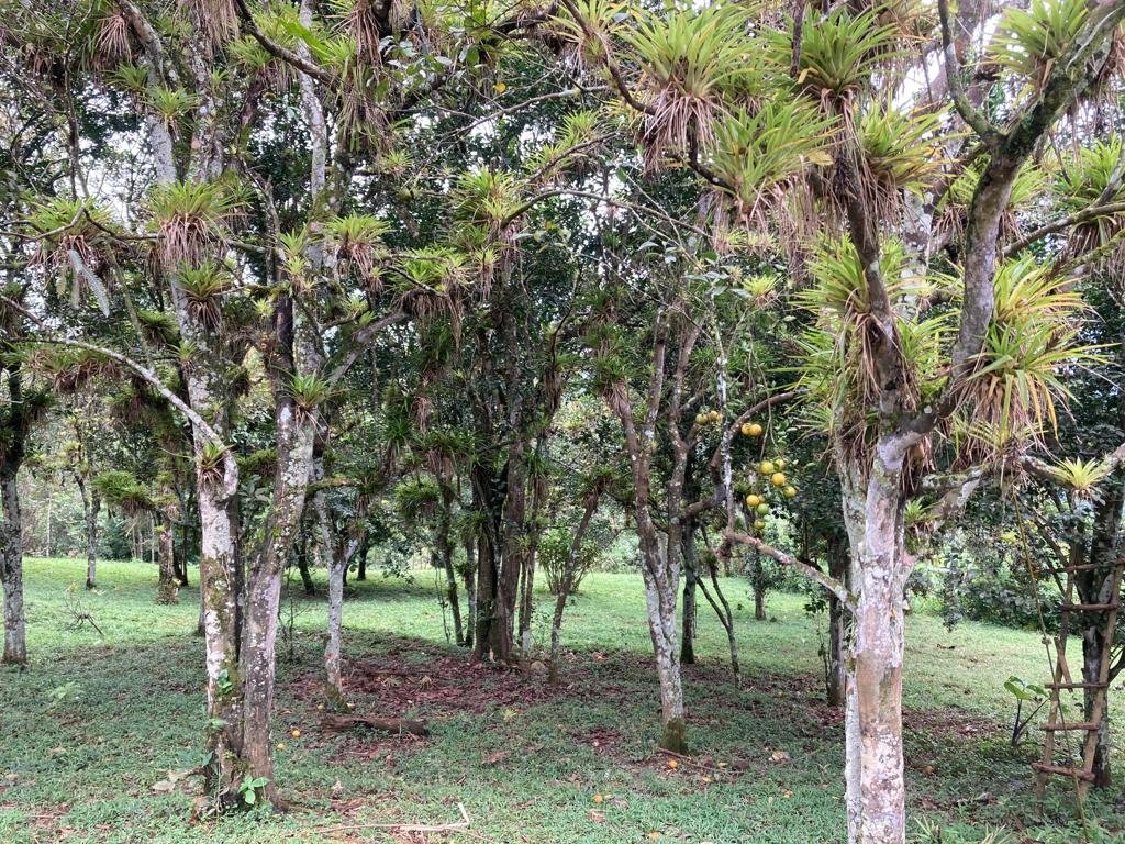 Mountain home in Santa Fe, Veraguas