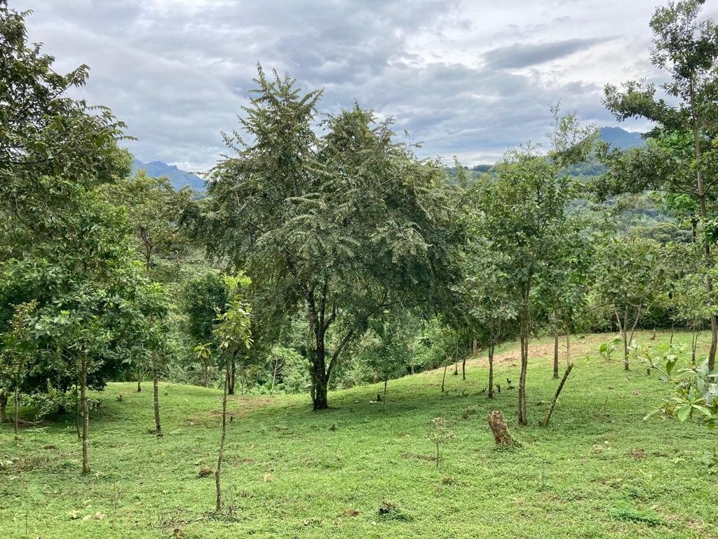 Mountain home in Santa Fe, Veraguas