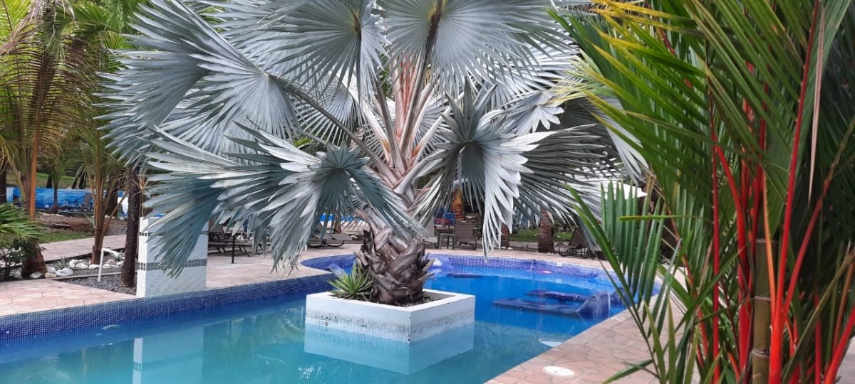 Great reduction! Paradise Inn Resort in Las Lajas Chiriquí