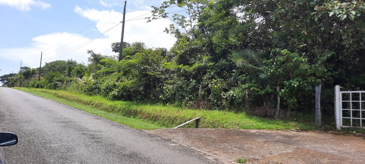 Three large lots in the cute village of Las Lajas, Chiriquí