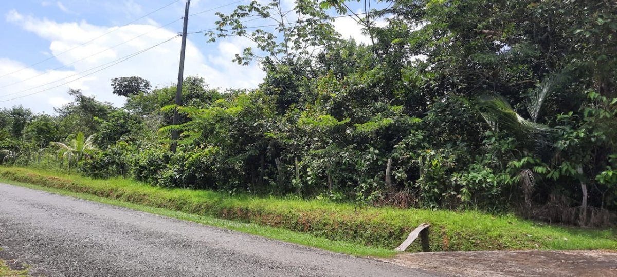 Three large lots in the cute village of Las Lajas, Chiriquí