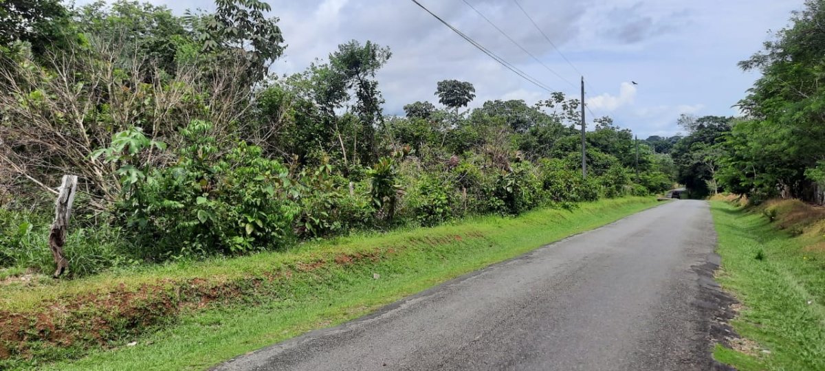Three large lots in the cute village of Las Lajas, Chiriquí