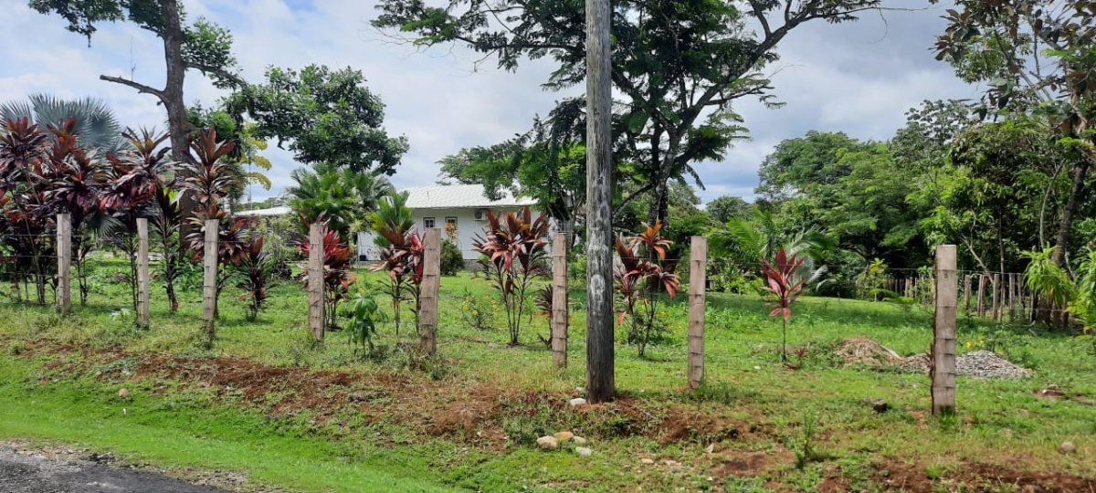 Three large lots in the cute village of Las Lajas, Chiriquí