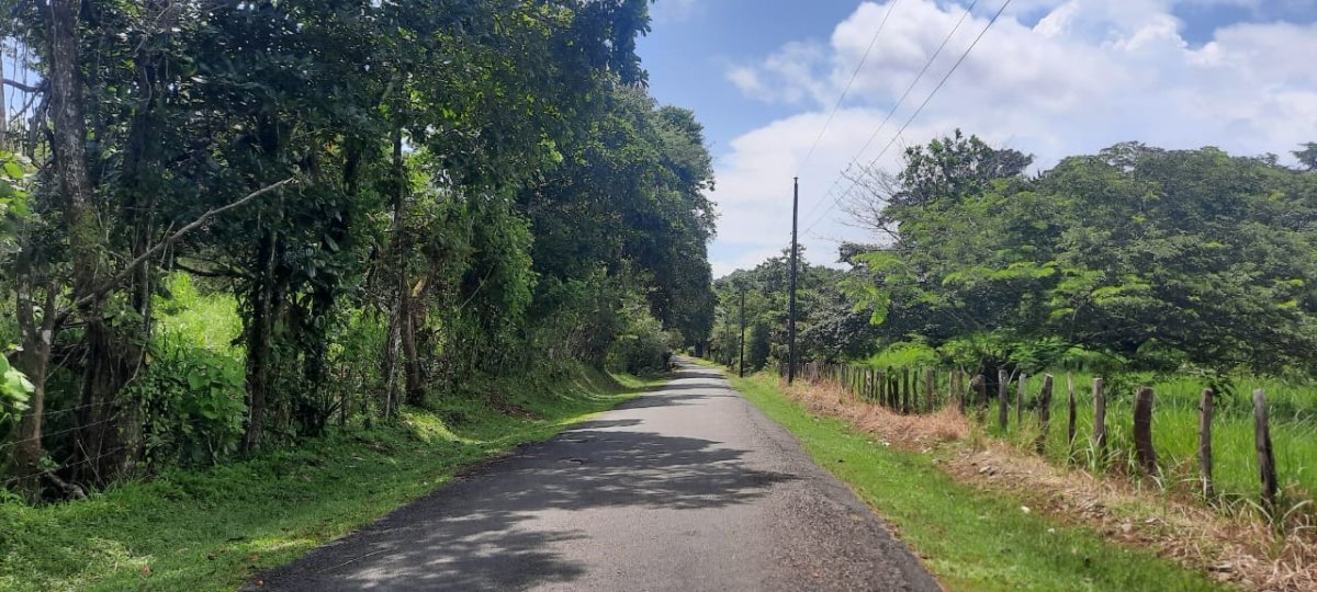 Three large lots in the cute village of Las Lajas, Chiriquí