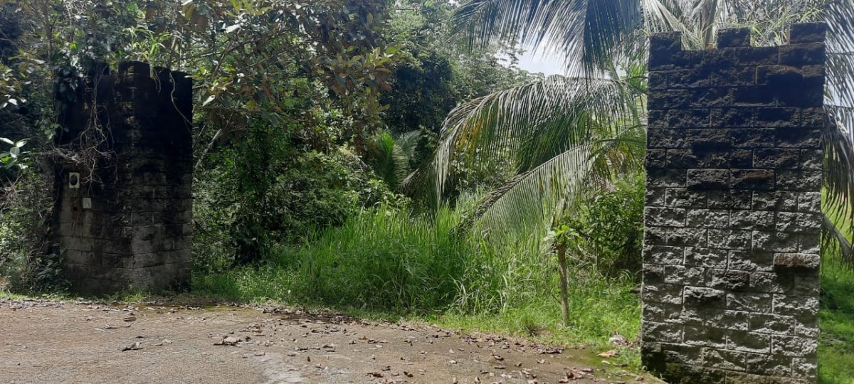 Three large lots in the cute village of Las Lajas, Chiriquí