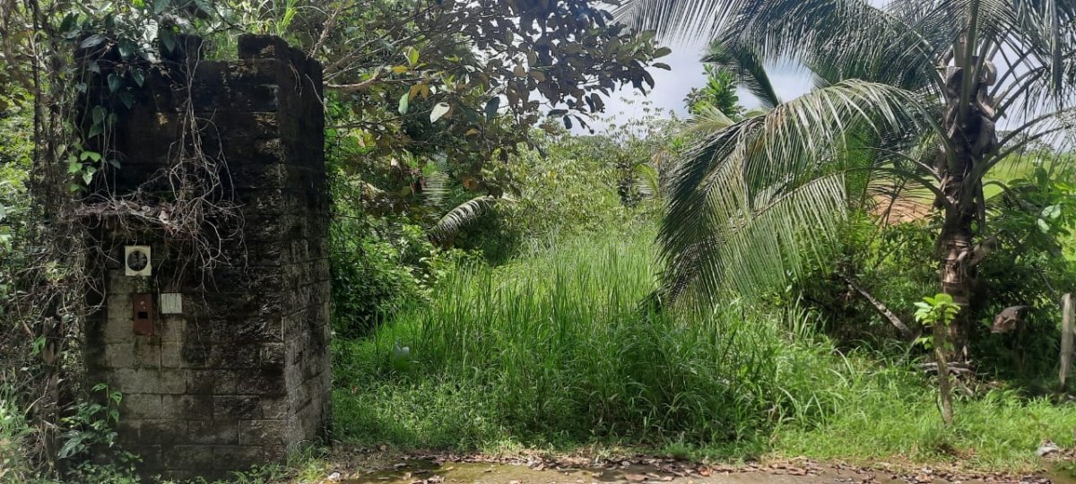 Three large lots in the cute village of Las Lajas, Chiriquí