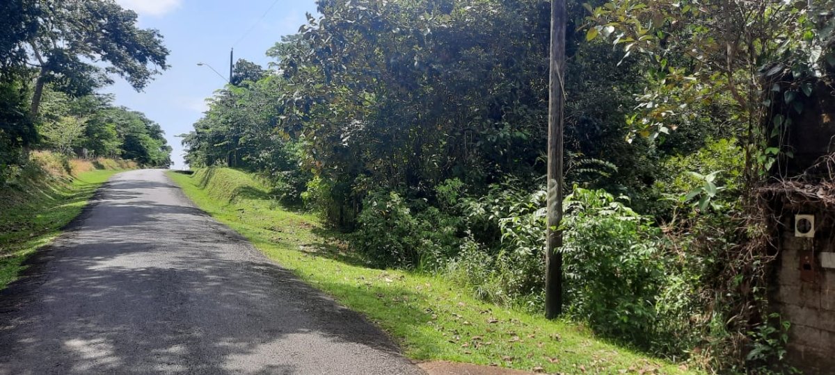 Three large lots in the cute village of Las Lajas, Chiriquí