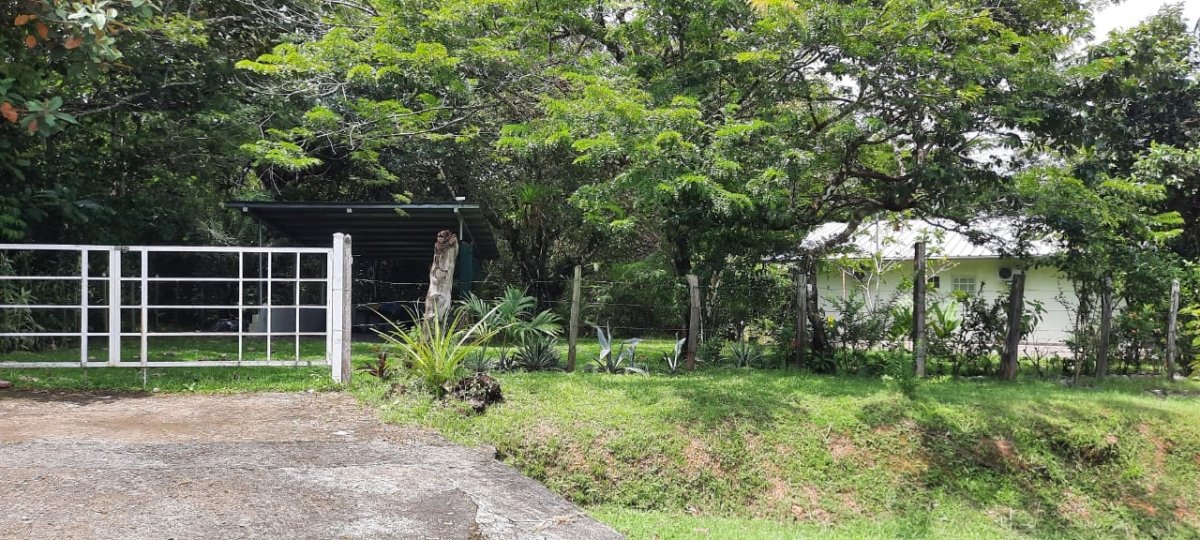 Three large lots in the cute village of Las Lajas, Chiriquí