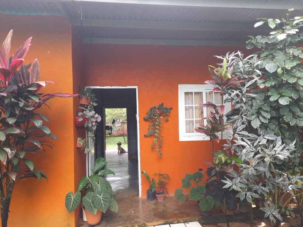 2 houses on 2 acres with stream in suburb of David