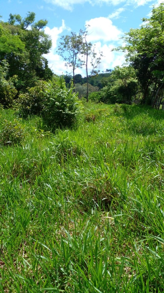 2 houses on 2 acres with stream in suburb of David
