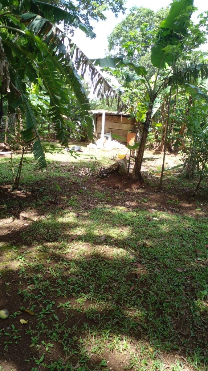 2 casas en casi una hectarea con arroyo en el suburbio de David