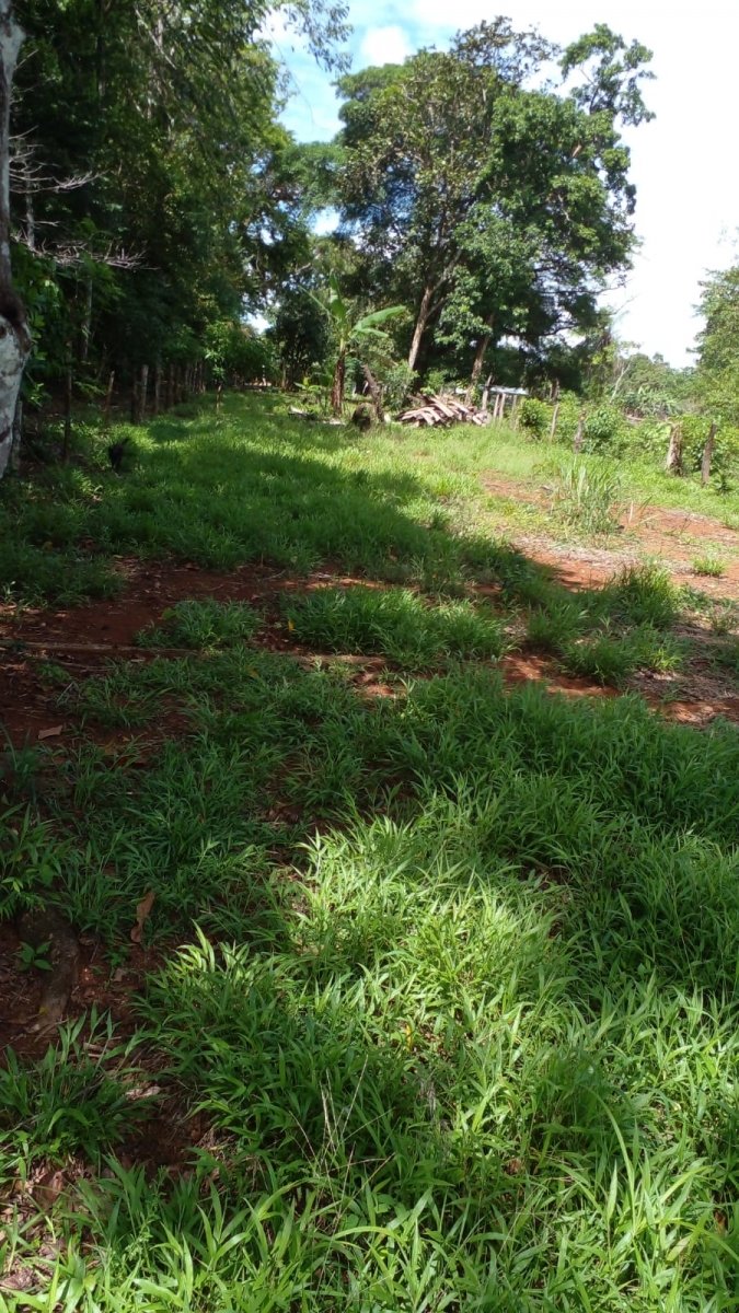 2 casas en casi una hectarea con arroyo en el suburbio de David