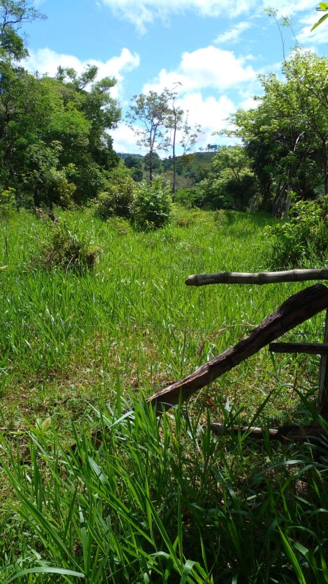 2 casas en casi una hectarea con arroyo en el suburbio de David