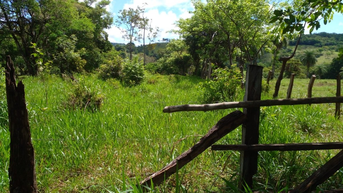 2 casas en casi una hectarea con arroyo en el suburbio de David