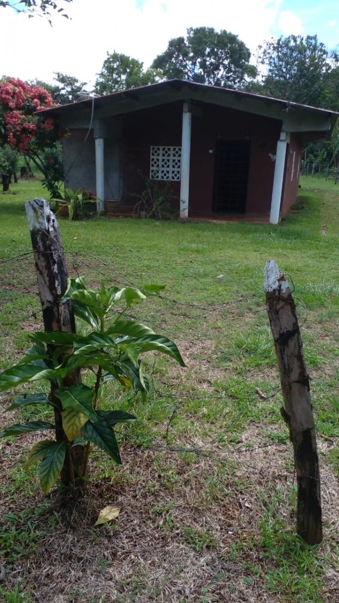2 casas en casi una hectarea con arroyo en el suburbio de David