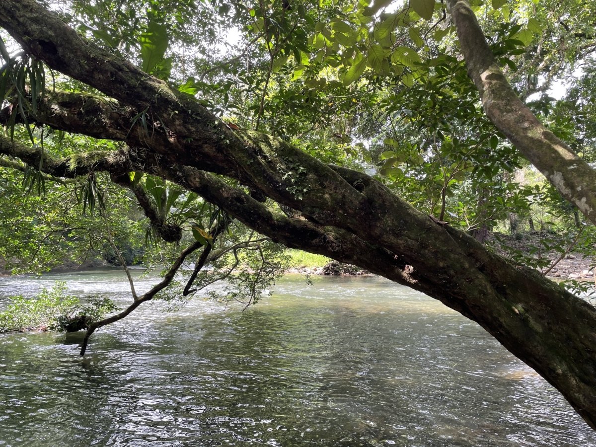 Tiny house on 1.7 hectares on beautiful river Papayal