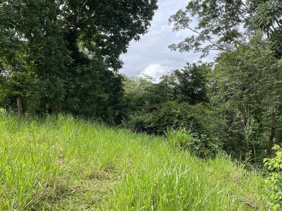 Tiny house on 1.7 hectares on beautiful river Papayal