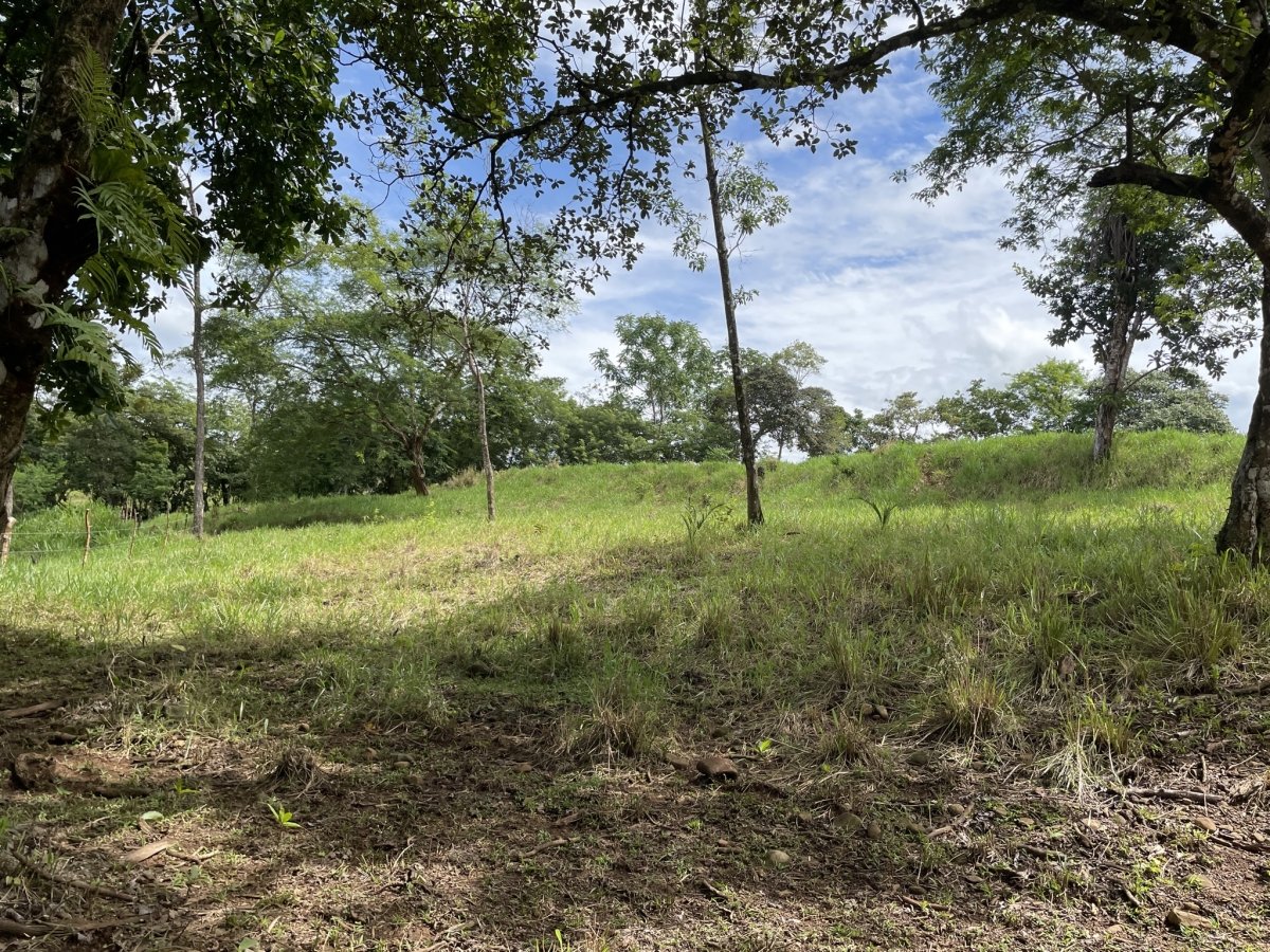 Tiny house on 1.7 hectares on beautiful river Papayal