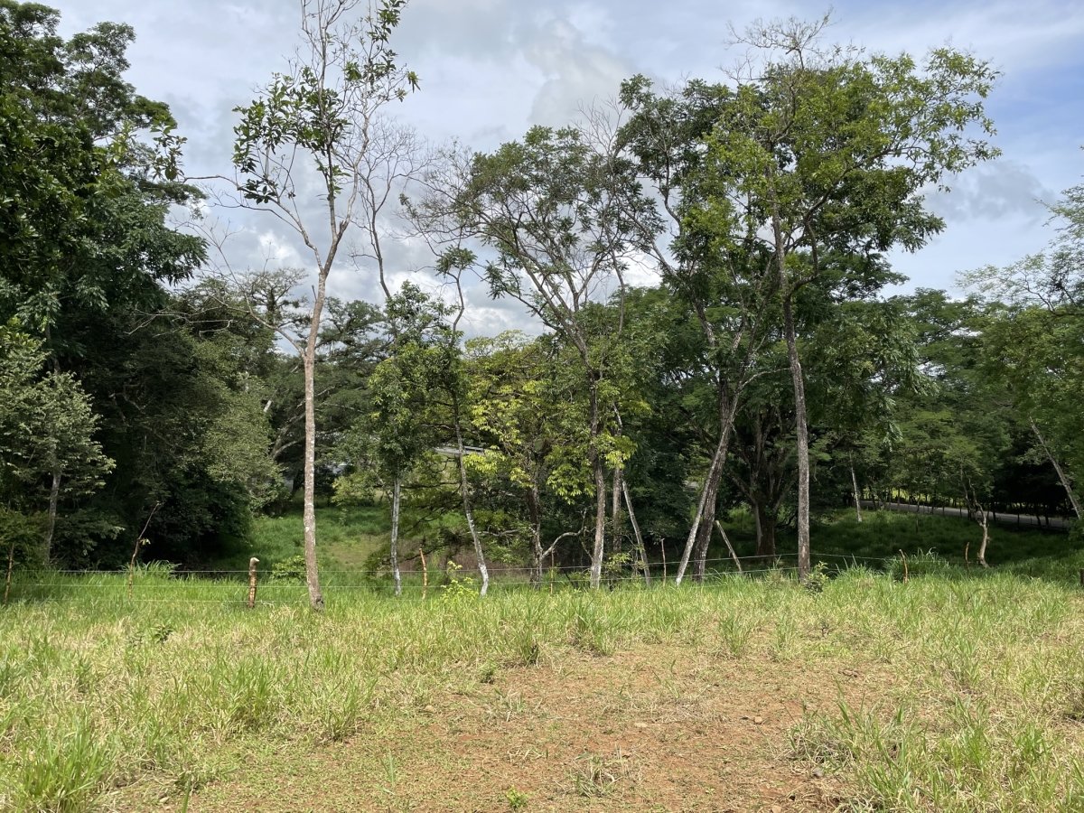 Tiny house on 1.7 hectares on beautiful river Papayal