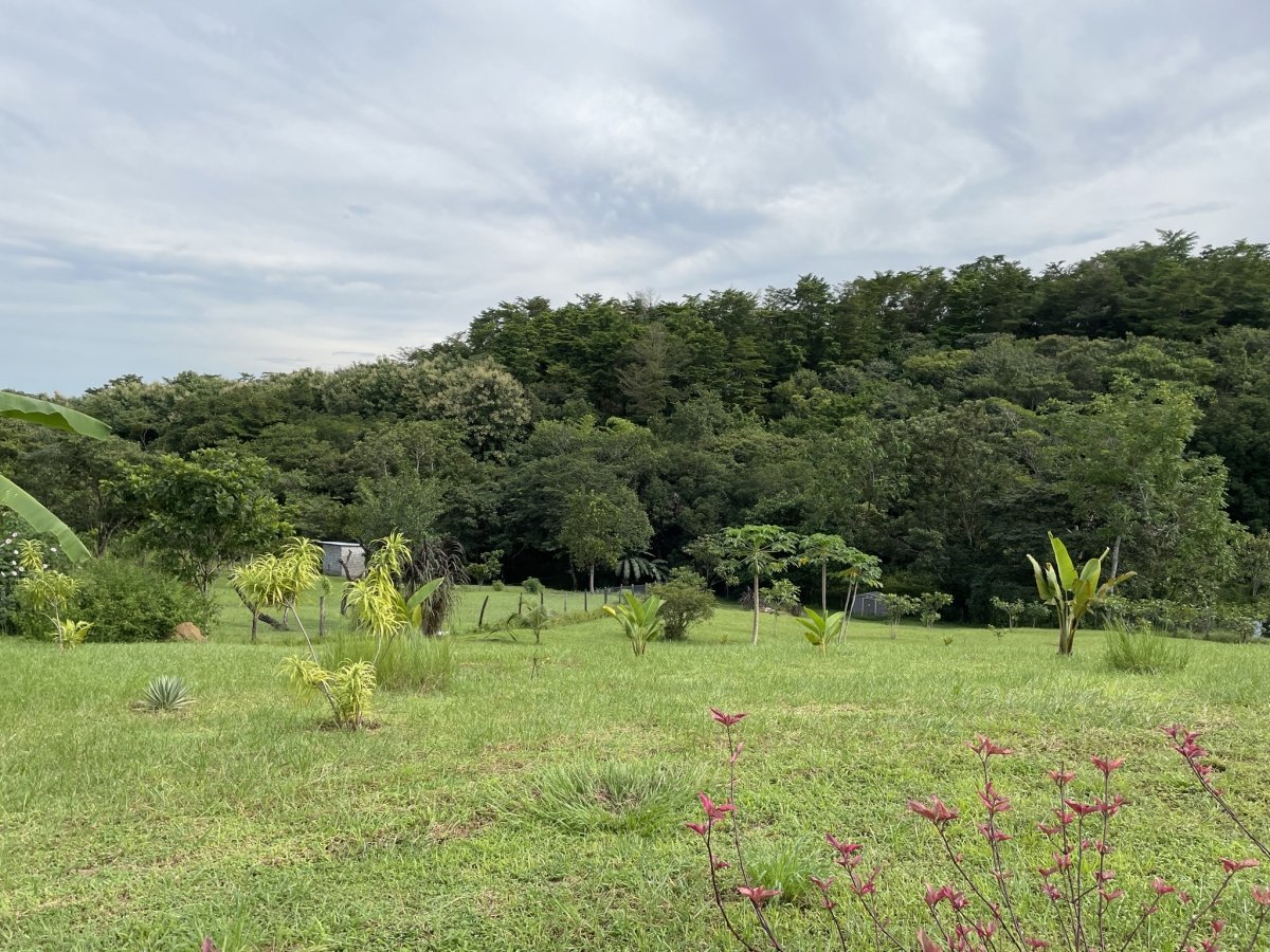 2 houses - quiet, green on river yet near village and beach