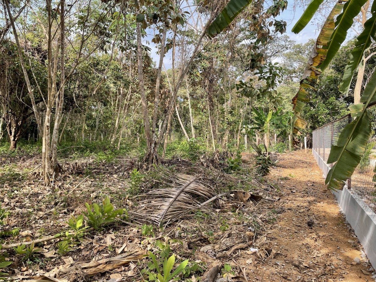 Central but quiet lot in Las Lajas, 10 minutes to beach