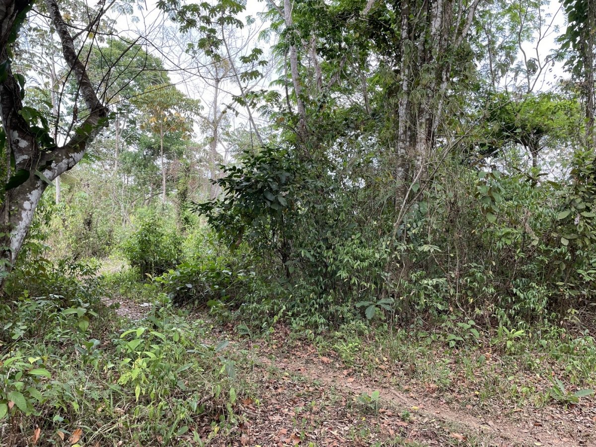 Central but quiet lot in Las Lajas, 10 minutes to beach