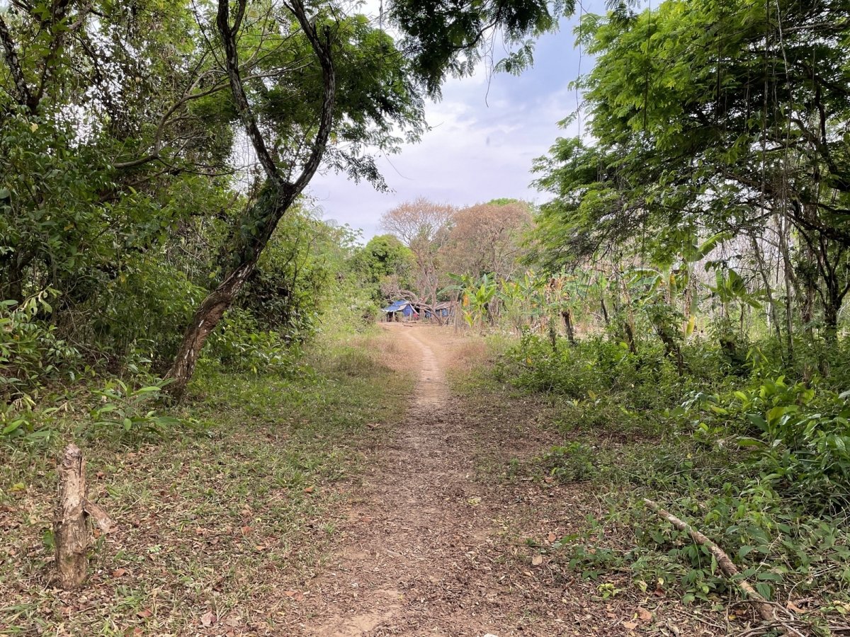 Central but quiet lot in Las Lajas, 10 minutes to beach