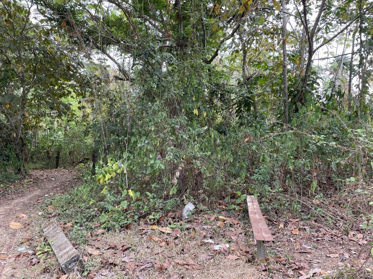 Central but quiet lot in Las Lajas, 10 minutes to beach