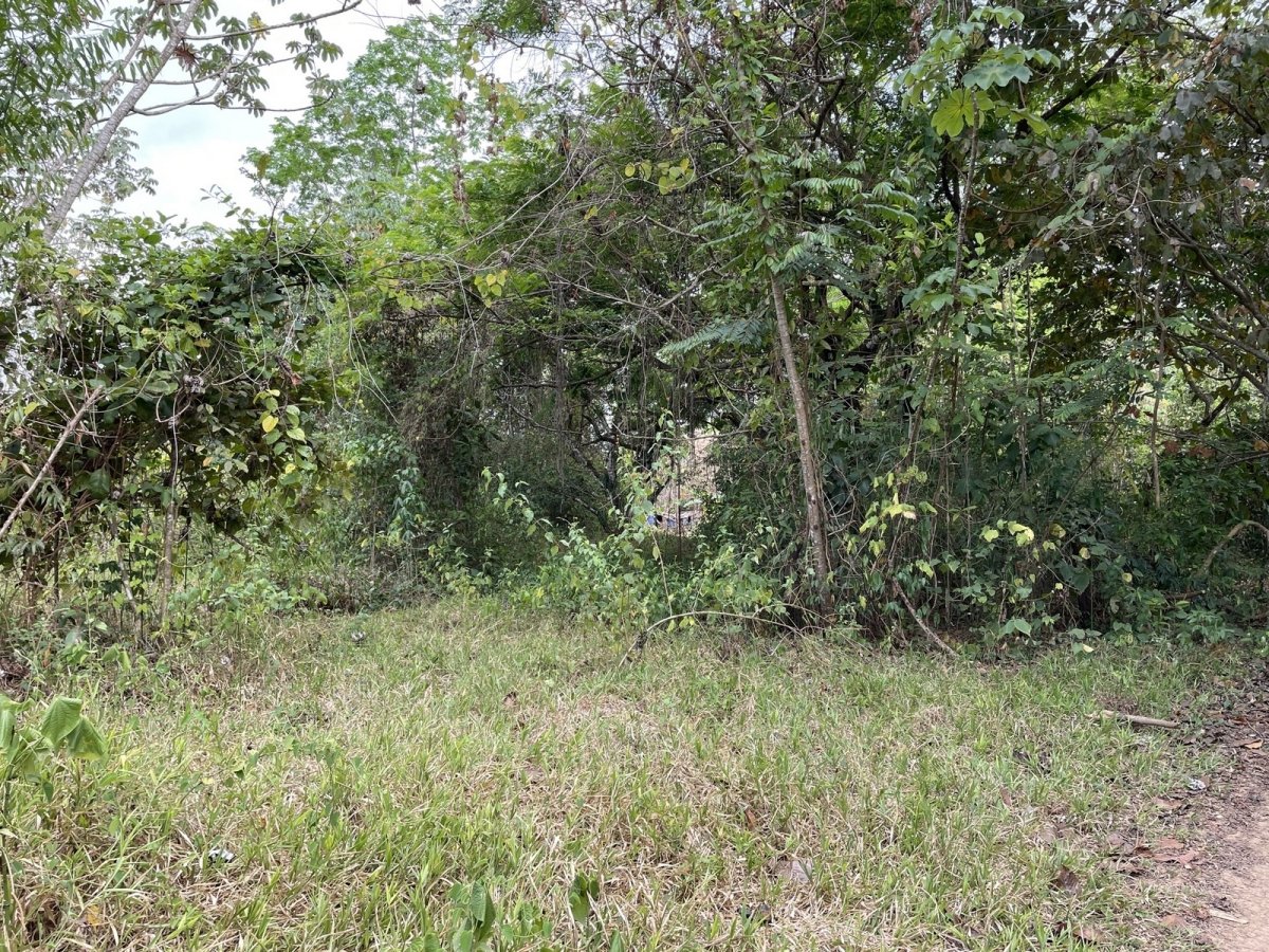 Central but quiet lot in Las Lajas, 10 minutes to beach