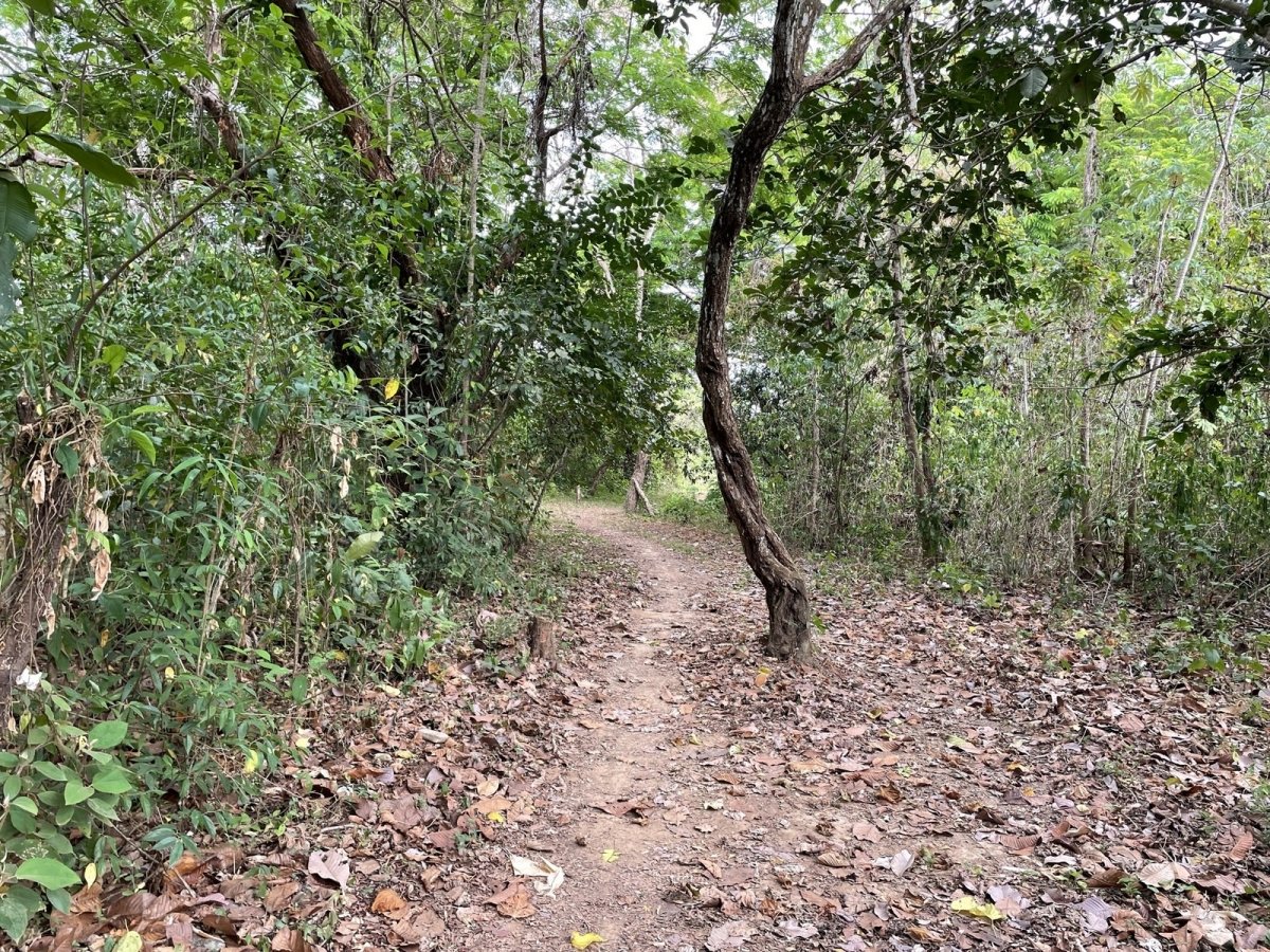 Central but quiet lot in Las Lajas, 10 minutes to beach