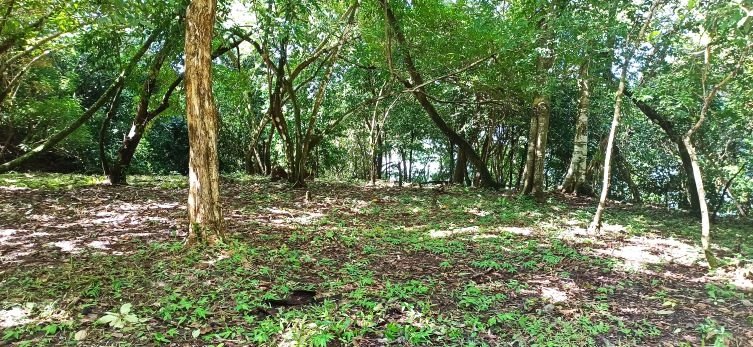 Se vende hotel con 13 hectáreas en la Isla Boca Brava, Chiriquí