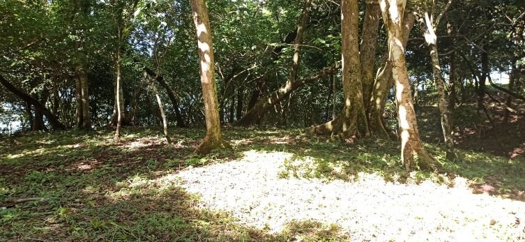 Se vende hotel con 13 hectáreas en la Isla Boca Brava, Chiriquí