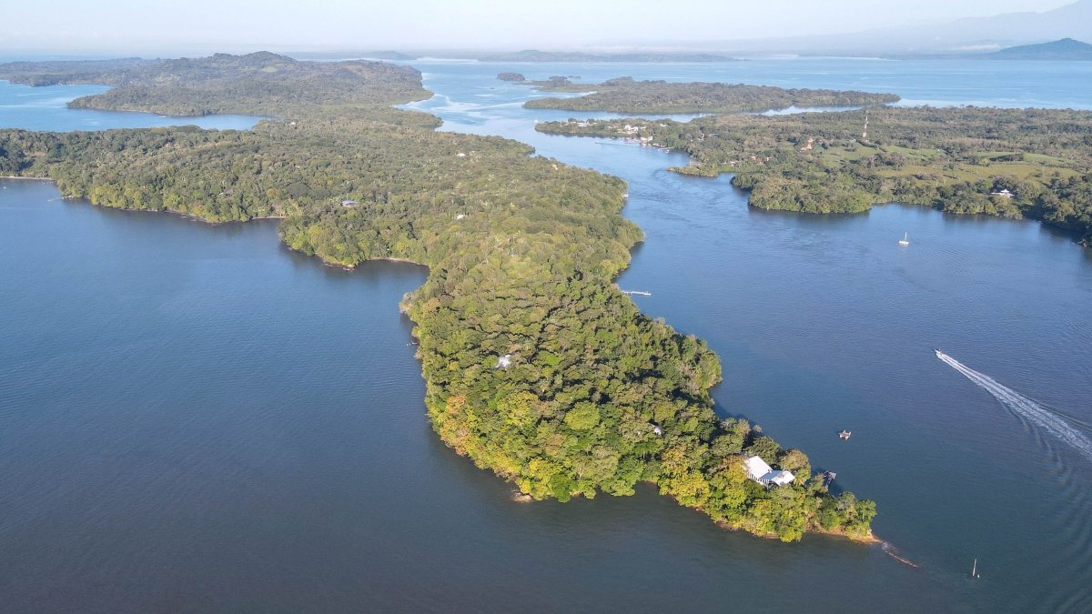 Se vende hotel con 13 hectáreas en la Isla Boca Brava, Chiriquí