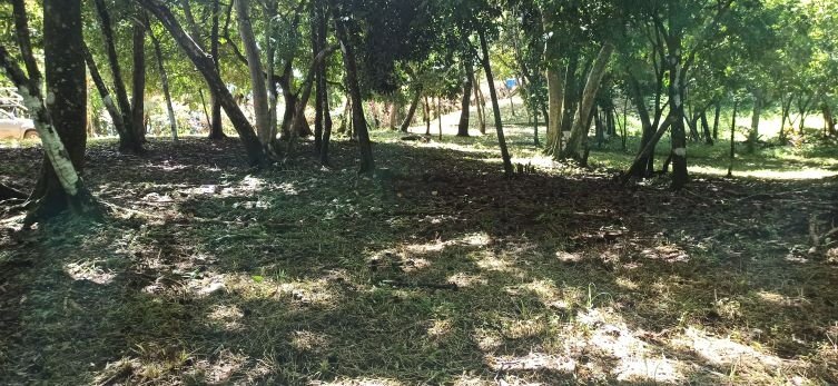 Se vende hotel con 13 hectáreas en la Isla Boca Brava, Chiriquí