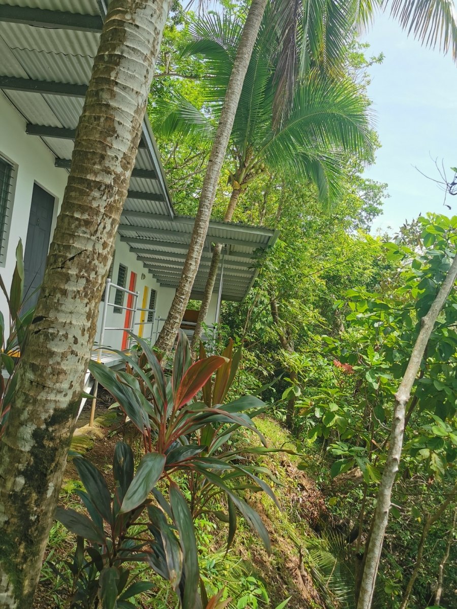 Se vende hotel con 13 hectáreas en la Isla Boca Brava, Chiriquí