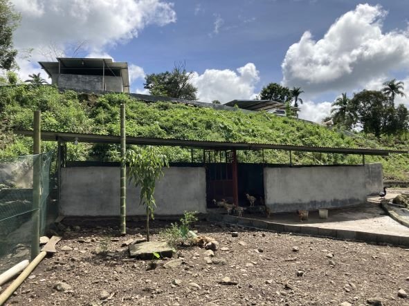 Small farm for creative and sustainable people