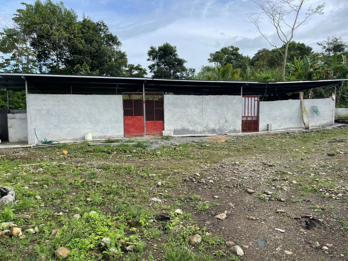 Small farm for creative and sustainable people