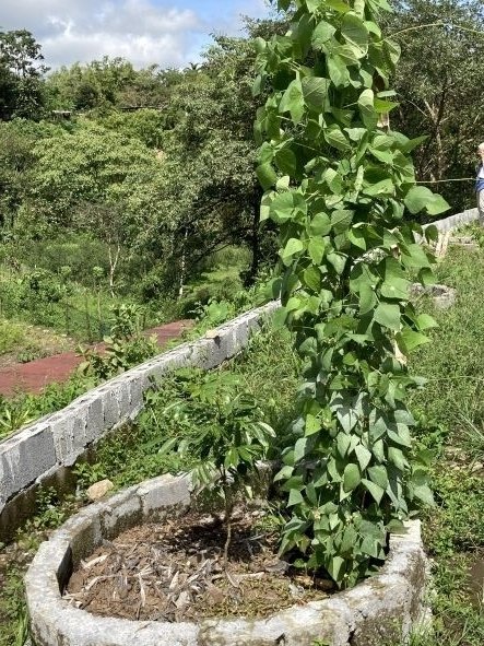 Small farm for creative and sustainable people