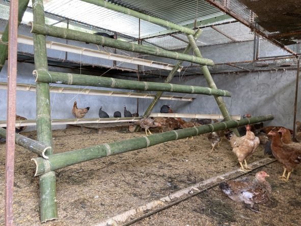 Small farm for creative and sustainable people